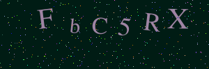 Validation image